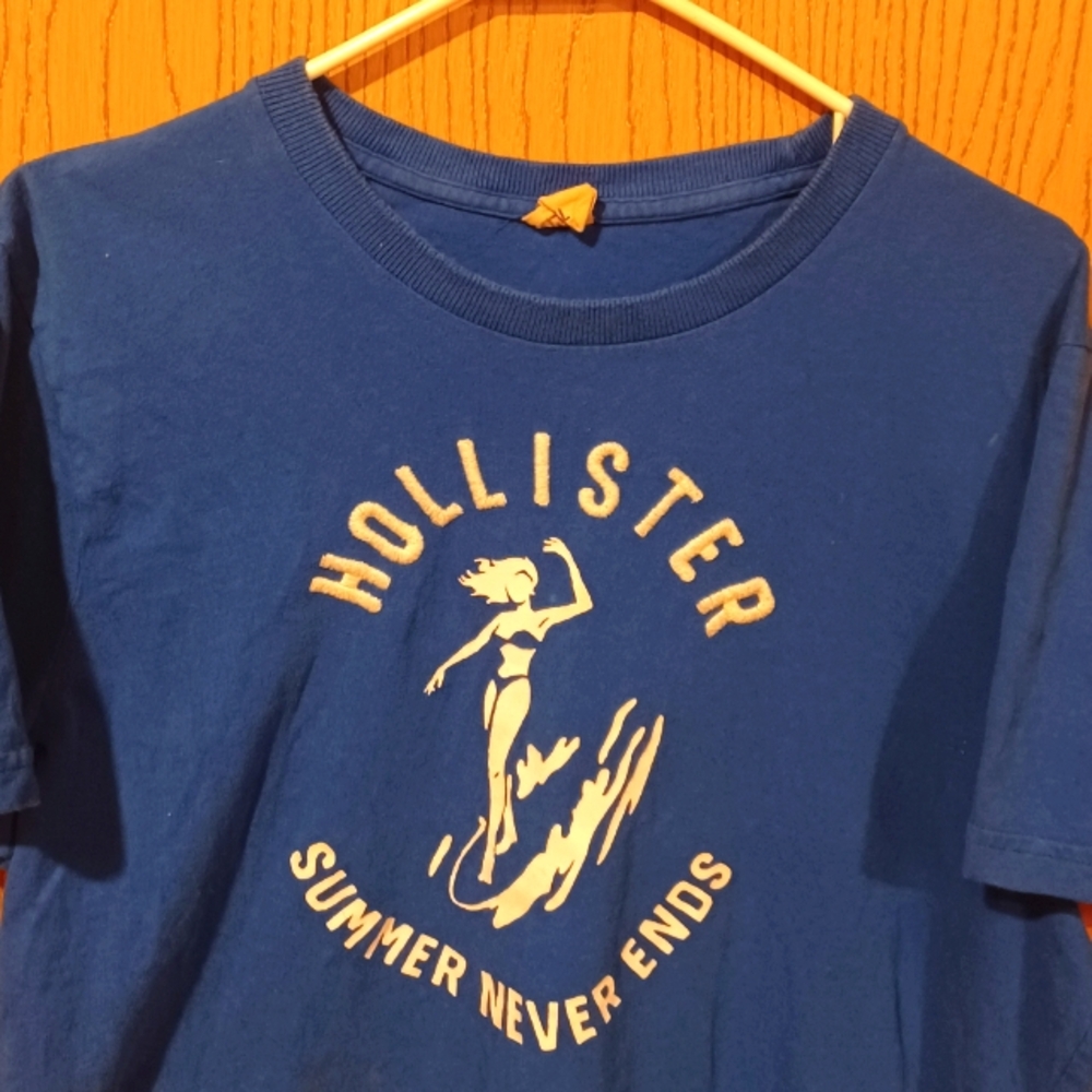 Mens Hollister T Shirt